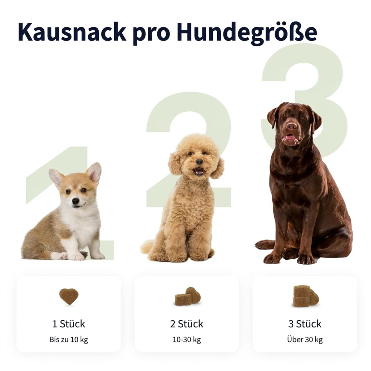 Allergy & Itch Ergänzungsfutter